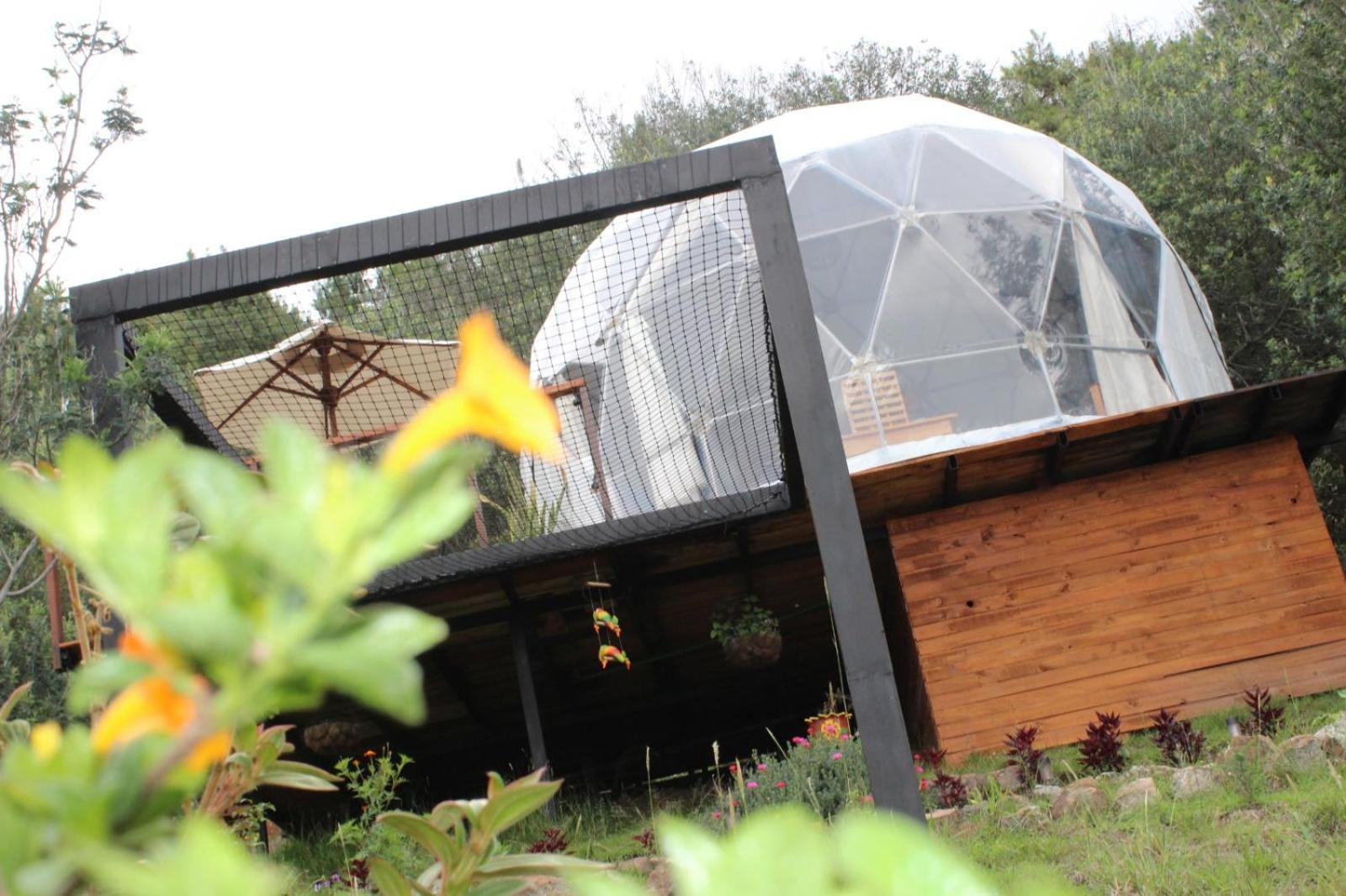 Glamping La Villa グアタビータ エクステリア 写真