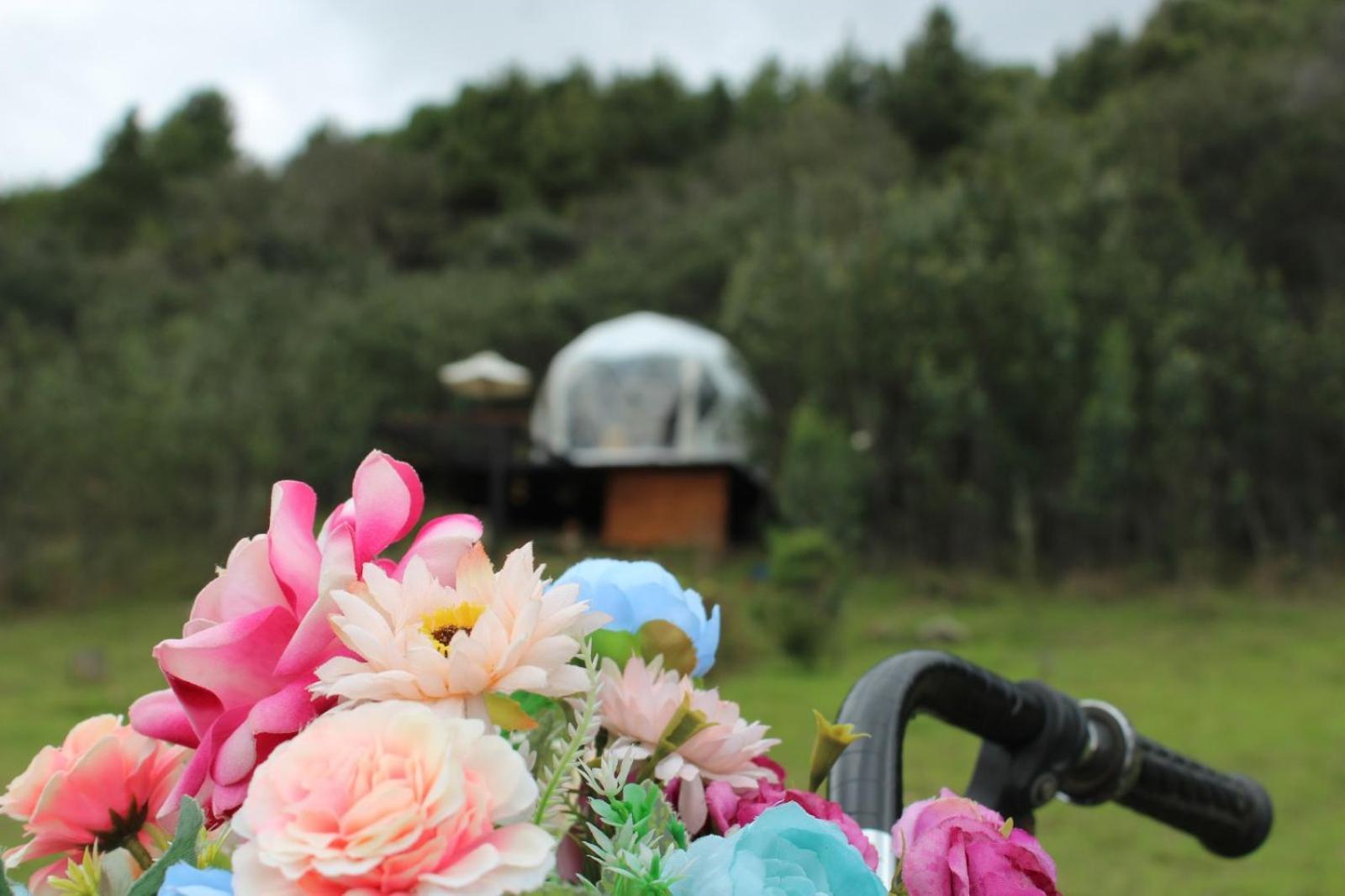Glamping La Villa グアタビータ エクステリア 写真
