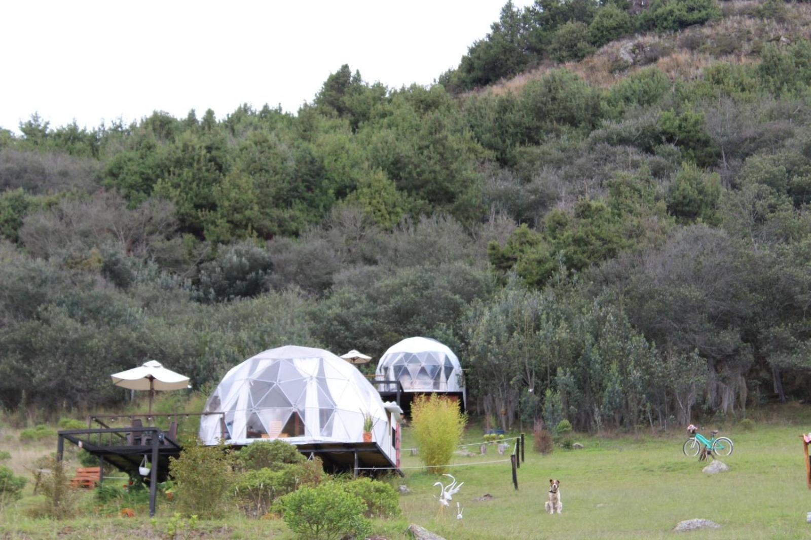 Glamping La Villa グアタビータ エクステリア 写真
